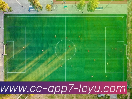 乐鱼体育APP 封面图